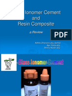 Review Gic and R.composite
