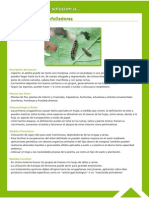 Guía Fitosanitaria18.pdf