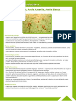 Guía Fitosanitaria20.pdf
