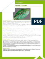 Guía Fitosanitaria21.pdf