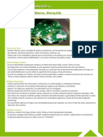 Guía Fitosanitaria24.pdf