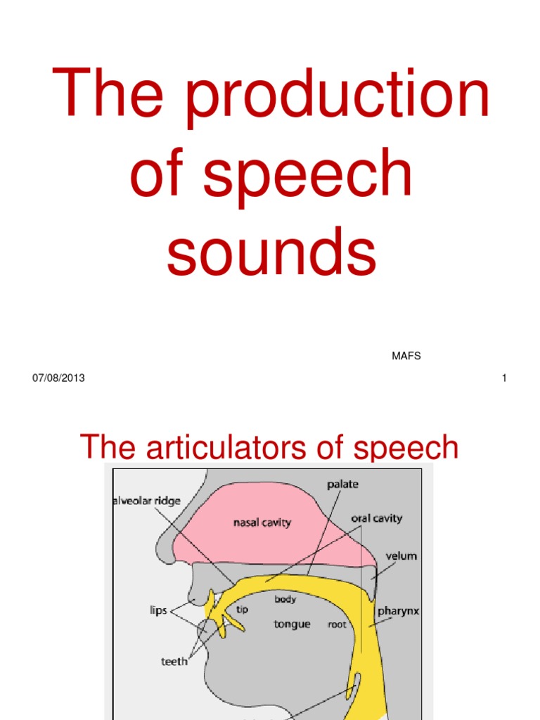 The Production of Speech Sounds | Vowel | Consonant