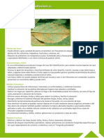 Guía Fitosanitaria29.pdf