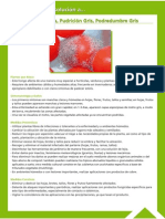 Guía Fitosanitaria31.pdf