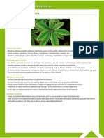 Guía Fitosanitaria33.pdf