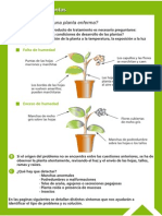 Guía Fitosanitaria2.pdf