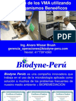 Biodyne - Alvaro Wissar