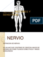 Nervios Motores y Sensitivos