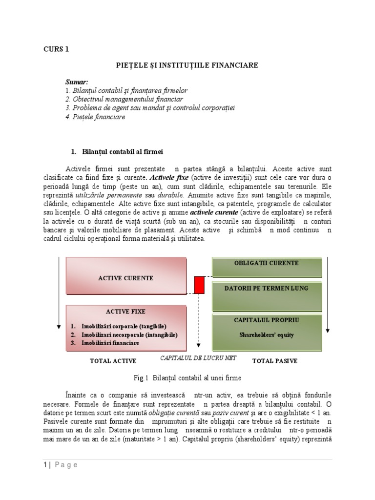 Bilant Contabil | PDF