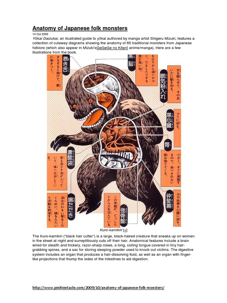 Anatomy Of Japanese Folk Monsters Pdf Nature