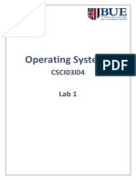 Operating Systems: CSCI03I04 Lab 1