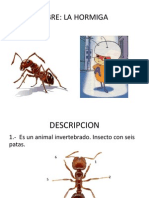 Disertación Hormigas