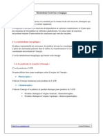 Metabolisme Bacterien Et Fongique