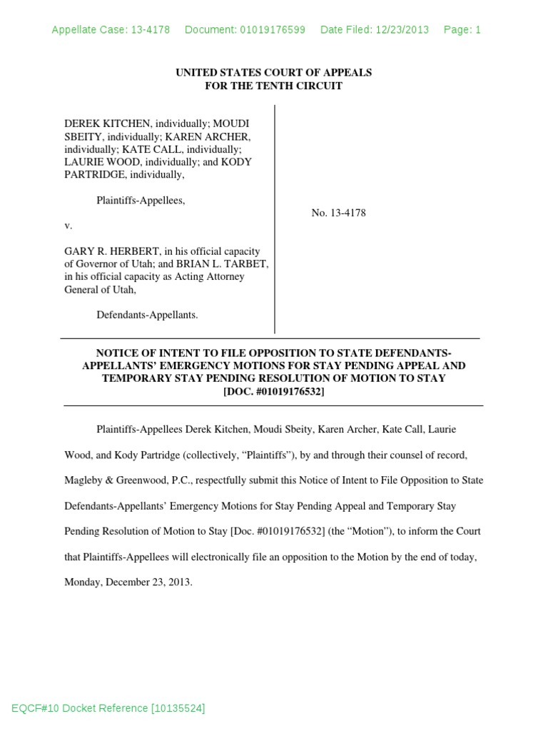 United States Court of Appeals For The Tenth Circuit | PDF | Motion In ...