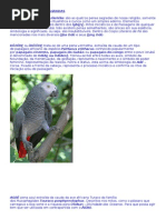 59140841 as Penas Sagradas