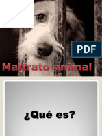 Trabajo de Epistemiologia Maltrato Animal.