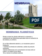 Membrana Plasmatica - Dra. Gil