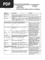 Estructura de La Celula Eucariotas y Sus Funciones