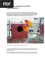 Download Bagaimana membuat lovebird cepatbertelur by Riein Rahman SN193401415 doc pdf