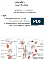 Controls Involuntary Functions - Two Types:: - Sympathetic Nervous System - Parasympathetic Nervous System