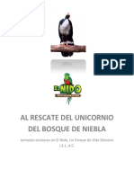 Al Rescate Del Unicornio Del Bosque de Niebla