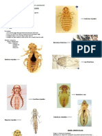 Ento Lab Midterms Handouts