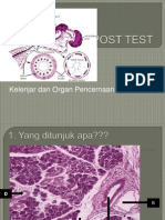 POST TEST