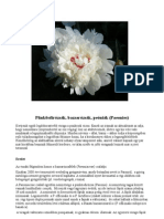 Pünkösdirózsák, Bazsarózsák, Peóniák (Paeonies)