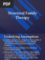 Structural Family Therapy