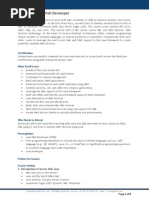 Advanced Java Web Developer