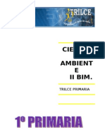 CIENC Y AMBT  II BIM