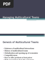 Managing Multicultural Teams