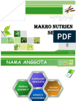 Makro Nutrien Sekunder