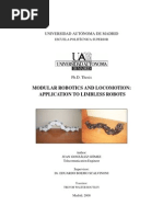 Download Modular Robotics and Locomotion Application to Limbless robots by Juan Gonzalez Gomez SN19362767 doc pdf