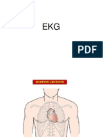 Ekg Dr. Anita, SP - PD