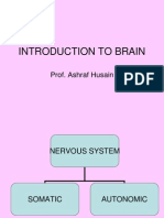 Introduction To Brain: Prof. Ashraf Husain