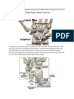 A Patient's Guide To Distal Radius (Wrist) Fractures: Anatomy