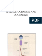 General Embryology