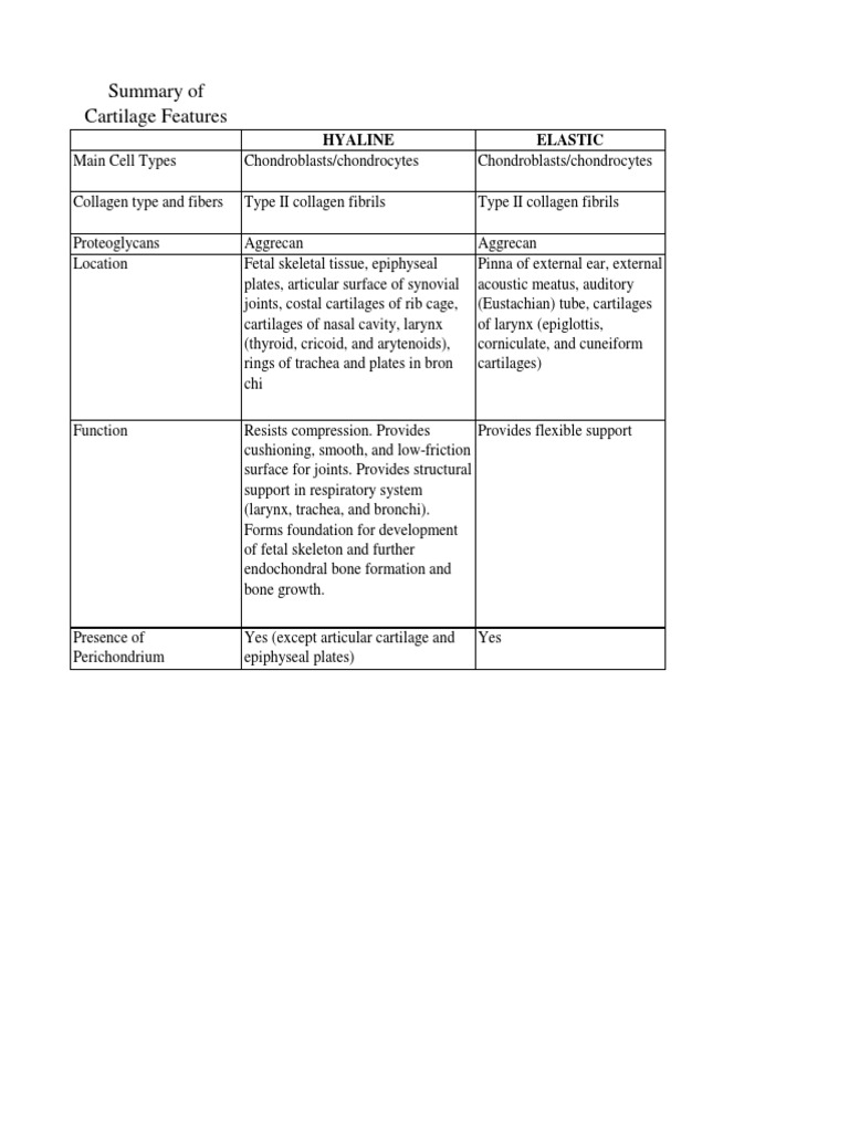 Cartilage Types and Features Guide | PDF