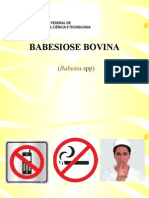 BABESIOSE BOVINA - Bovinocultura