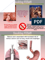 Smoking Cessation Poster - Lungs