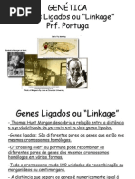 Genes Ligados ou Linkage