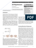 Eukaryotic DNA Polymerases: Sue Cotterill, Stephen Kearsey