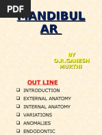 Download MANDIBULAR 2 PREMOLAR by DrORGANESAMURTHI SN19374914 doc pdf