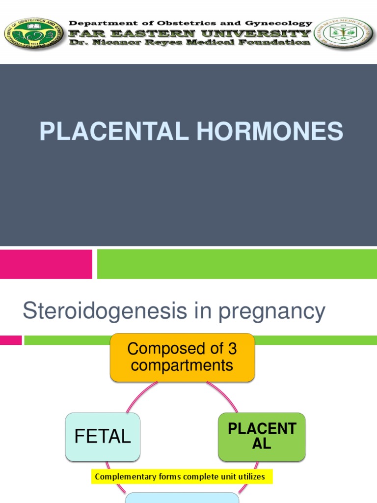 Placental Hormones Human Chorionic Gonadotropin Estrogen
