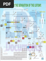 Download Qualitative Inorganic Analysis QIA Chart on Cations by Josh LRT SN193785997 doc pdf