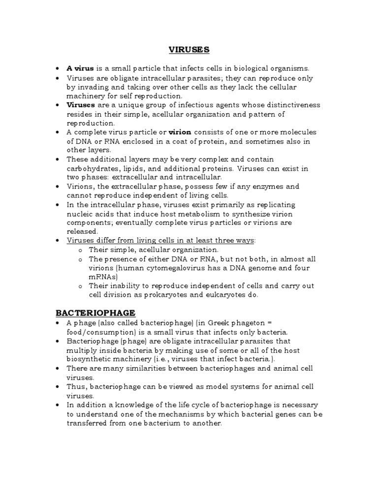 worksheet Bacteria And Viruses Worksheet viruses bacteriophages bacteriophage virus