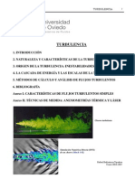 Turbulencia PDF