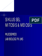 Siklus Sel (Mitosis & Meiosis)