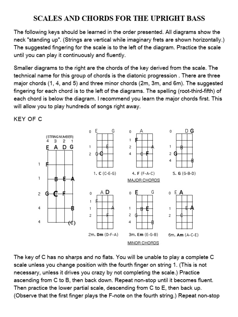Scales and Chords for the Upright Bass Chord (Music) Scale (Music)